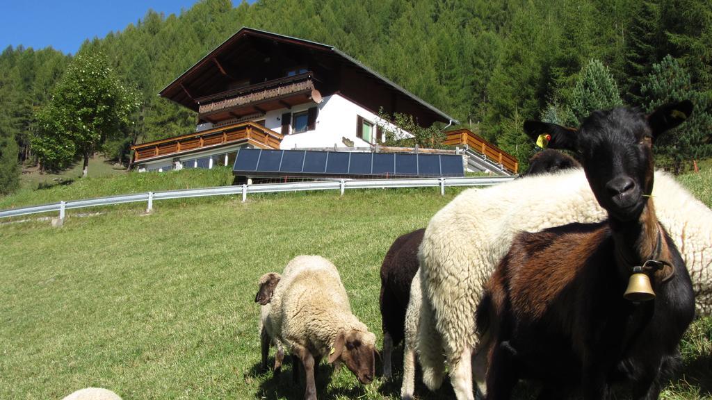 Zirbenhof Villa Heiligenblut Dış mekan fotoğraf